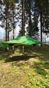Příroda nedaleko luxury tent