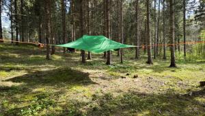 Příroda nedaleko luxury tent + 7 fotografií