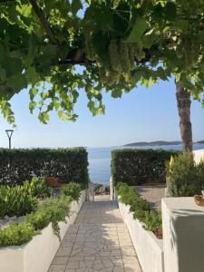 Φυσικό τοπίο κοντά σε αυτό το διαμέρισμα