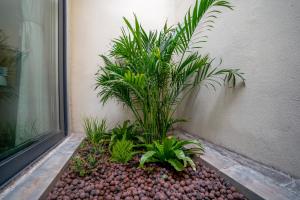 Taman di luar Xianxiuju Garden Courtyard B&B