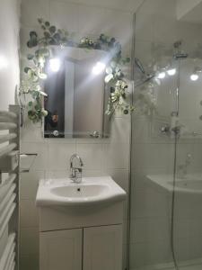 ein Badezimmer mit Waschbecken und Dusche mit Spiegel in der Unterkunft Vallon des sources digne les bains in Digne-les-Bains