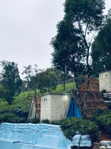 瓦加蒙Soon tents的一群在田野里树的帐篷