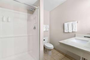 Koupelna v ubytování Days Inn by Wyndham Albany SUNY + 37 fotografií