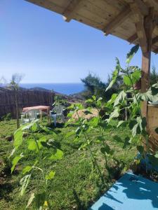 a garden with a view of the ocean at Darna 4 in Demina