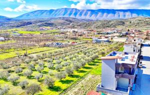 una vista aérea de una ciudad con una montaña en el fondo en Villa Petro, en Berat