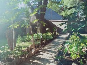 Κήπος έξω από το Bonamanzi Guesthouse +4 φωτογραφίες