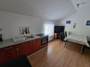 Kuchyň nebo kuchyňský kout v ubytování Apartma Patricija - big apartment for 6