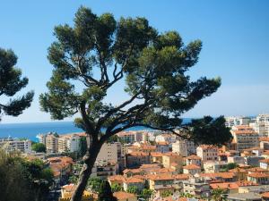 a tree in front of a city at Studio Premium au Calme avec Terrasse Vue Mer et Parking in Nice +3 photos