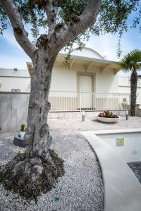 Giardino di Villa Vesuvio