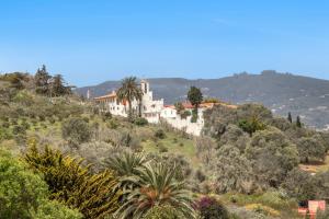 Příroda nedaleko venkovského domu