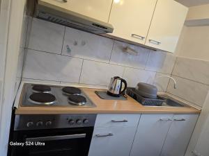 Kuchyň nebo kuchyňský kout v ubytování Gemütliche Einliegerwohnung