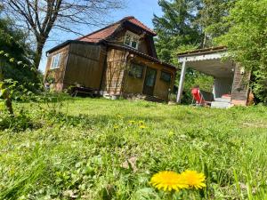 a small house in a yard with flowers in the grass at Bienenhaus Van Sonnensee in Ritzing