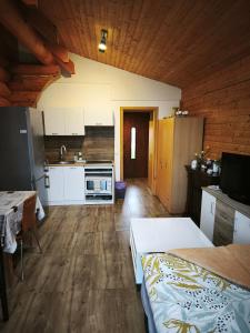 Kuchyň nebo kuchyňský kout v ubytování Apartmán Harmonie Černá Voda