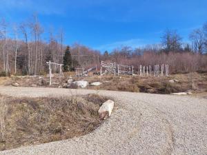 a sheep laying on the side of a road at chambre basique, endroit magique in La Renaudie