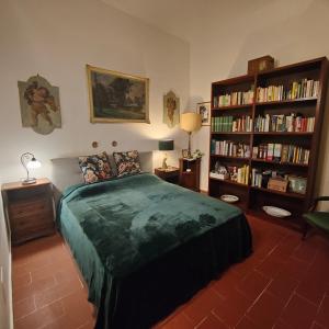 The library in Az apartmant