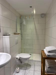 ein Badezimmer mit Dusche, Toilette und Waschbecken in der Unterkunft Mikroapartments Klarenthal in Saarbrücken