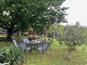 Ogród w obiekcie A Casiña - Casa Rural en la Ribeira Sacra, Galicia