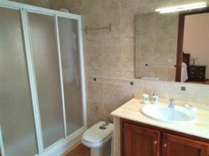 a bathroom with a shower and a sink and a toilet at Piso Calle Pelayo in Villanueva de Córdoba +15 photos