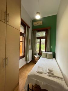a bedroom with a bed and a green wall at Varvayanni Villa in Plomari