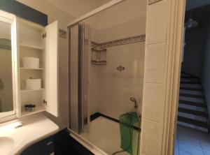 a bathroom with a shower and a sink at Sunflower House in Vathi, Ithaka