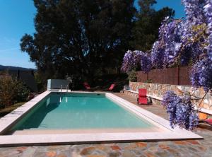 a swimming pool in a yard with a wreath of purple flowers at Casa Quercus Galicia, a 17 minutos de Santiago! in A Estrada