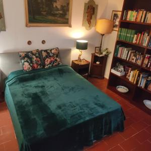 The library in Az apartmant