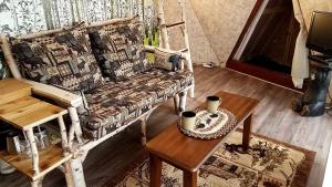 Χώρος καθιστικού στο Romantic Glamping Dome in the Catskill Mountains near Woodstock, New York