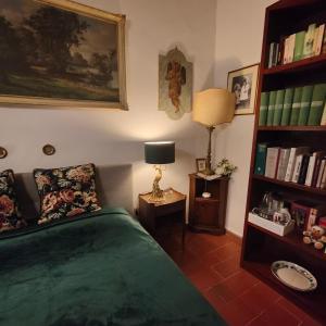 The library in Az apartmant