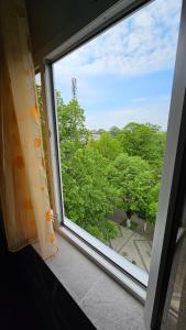 a window with a view of a tree at CoraHome Ultra Central in Corabia