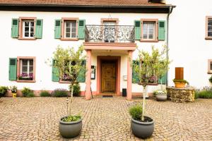 Puutarhaa majoituspaikan Hotel Sonnenhof ulkopuolella
