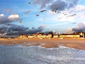 Příroda nedaleko prázdninového domu