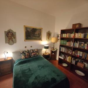 The library in Az apartmant
