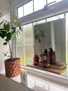 a mirror sitting on top of a counter with plants at Golden House in Waterbeach