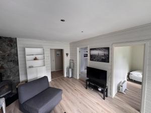 a living room with a couch and a television and a bed at Apart, 4 pers, Central in Odda in Odda