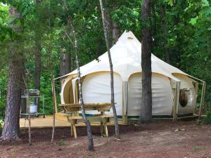 a tent sitting in the middle of a forest at Glamping Getaway on an Impressive Farm near Charlottesville, Virginia in Gordonsville +10 photos