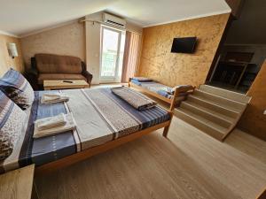 a bedroom with a bed and a couch and a television at Apartments Nikolić in Soko Banja +112 photos