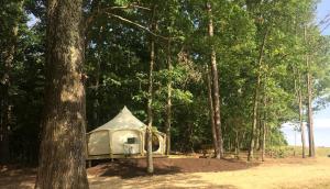 a tent sitting in the middle of a forest at Fantastic Virginia Glamping Retreat near Charlottesville in Gordonsville