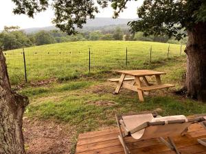a picnic table and a chair next to a tree at Fantastic Virginia Glamping Retreat near Charlottesville in Gordonsville