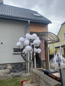 Budova, kde se ubytování v soukromí nachází