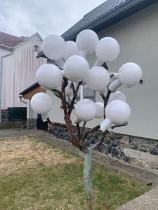Zahrada ubytování U Skleněného stromu