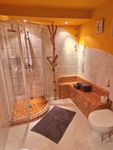 a bathroom with a shower and a toilet at Ferienwohnung Gute Seele in Bad Lauterberg +3 photos