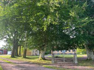 Zahrada ubytování Ebbetorps Gård