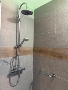 a shower with a shower head in a bathroom at Dépendance au sein d’une villa avec piscine in Aix-en-Provence +2 photos