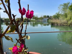 View of a river running close to Az apartmant