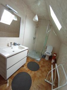 a bathroom with a sink and a shower and a toilet at maison TY MAD in Saint-Quay-Portrieux