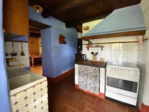 A kitchen or kitchenette at Podere di Maggio - Seccatoio