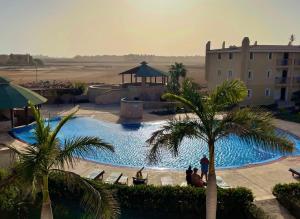 a large swimming pool with palm trees and a building at Ocean & Pool - 2 bedroom Apartment in Santa Maria