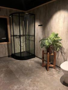 a bathroom with a glass shower and a toilet at Hjelvikhytta - flott beliggenhet ved sjøen in Hjelvik +20 photos