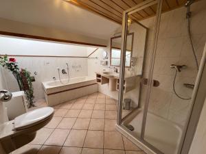a bathroom with a shower and a toilet and a sink at Gästehaus-Pension Keiss in Hopferau