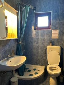 Kúpeľňa v ubytovaní Apartment Aralo - Veraja